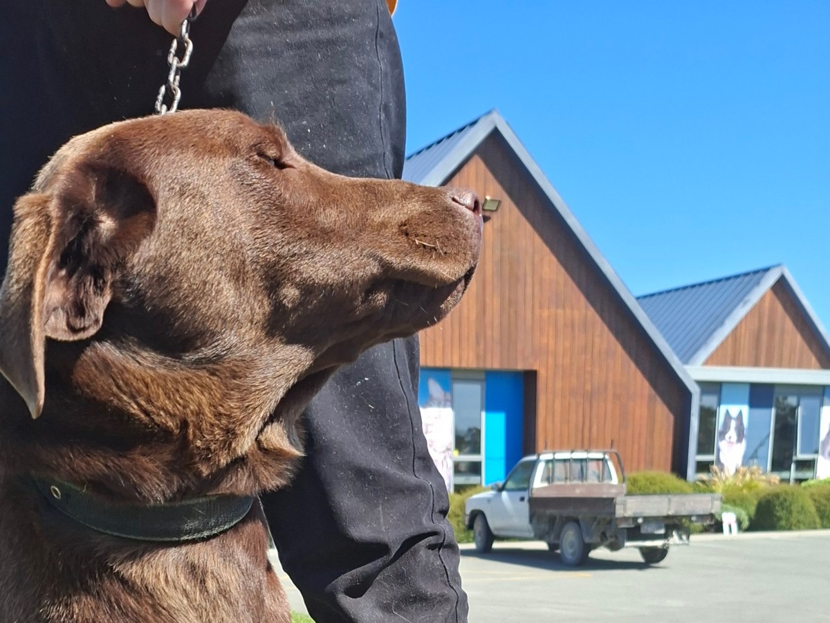 Well Done, You Made&nbsp;It!